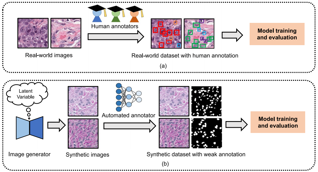Comparison of data and model training pipeline-nosevjrm.png
