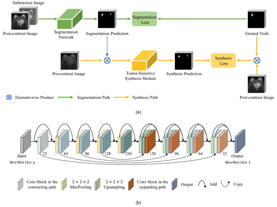TNNLS | Breast Tumor Segmentation in DCE-MRI With Tumor Sensitive Synthesis